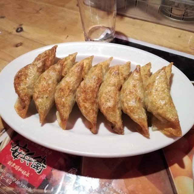 四国遠征2nd。⑨ 今までの人生で食べた餃子の最高峰かも