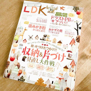 【雑誌掲載のお知らせ】LDK10月号　ドラストPBが今あつい