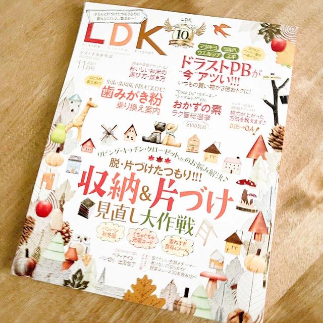 【雑誌掲載のお知らせ】LDK10月号　ドラストPBが今あつい