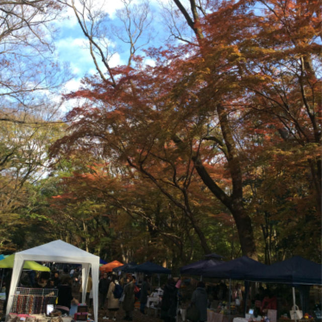京都なう、下鴨神社糺ノ森てづくり市