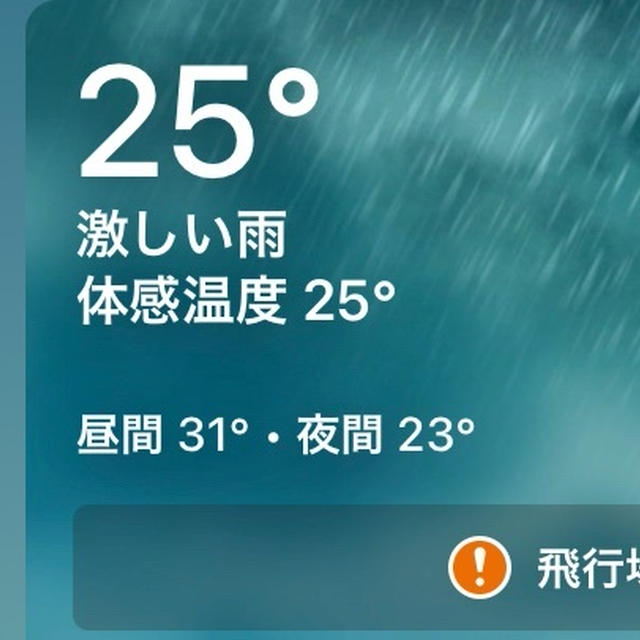 雨です！雨が降ってます！！@ダラス