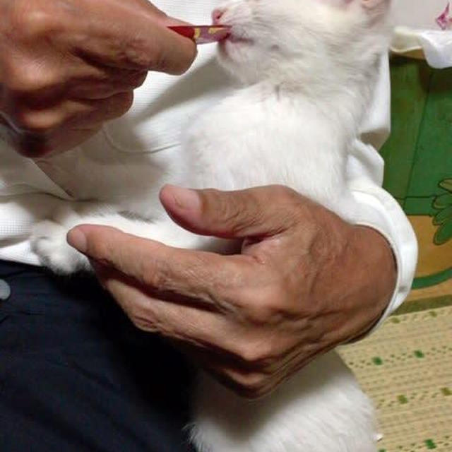 六畳の部屋が大賑わい（汗）