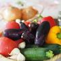 2023夏の料理教室　新鮮な夏野菜を使って　抗酸化・抗糖化！