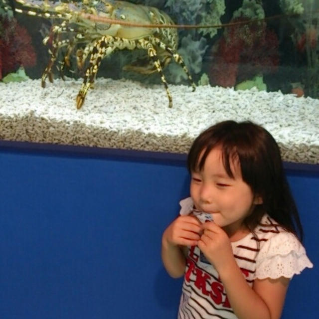ミニ水族館☆