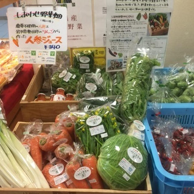 【掛川】これっしか処 JR掛川駅にある産直店 掛川マッコリや美味しい野菜も