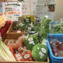 【掛川】これっしか処 JR掛川駅にある産直店 掛川マッコリや美味しい野菜も