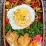 あれ？太麺だった焼きそば～夫のお弁当４１
