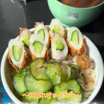 きゅうりキューチク塩もみ丼