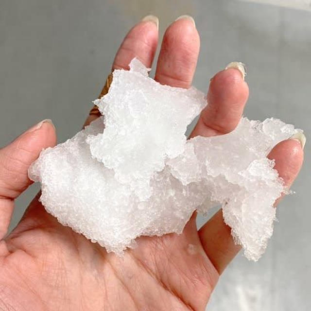 ミルコの性格が変わった！？
