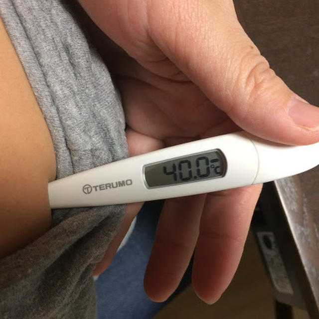 母娘でインフル発症。今年のインフルエンザは、微熱・平熱でも発症しますよ気をつけて！！
