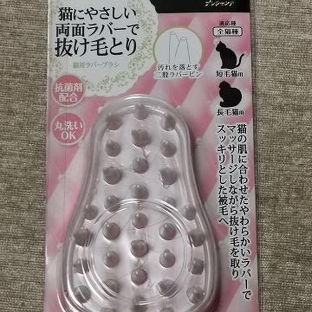 ラグと猫の毛