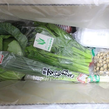 九州野菜の購入先を追加しました