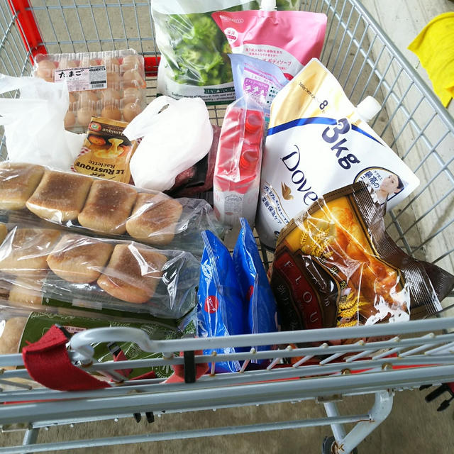 コストコ　本日のお買い物