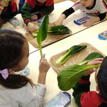 三鷹若葉幼稚園さま食育レッスン「カルシウム」