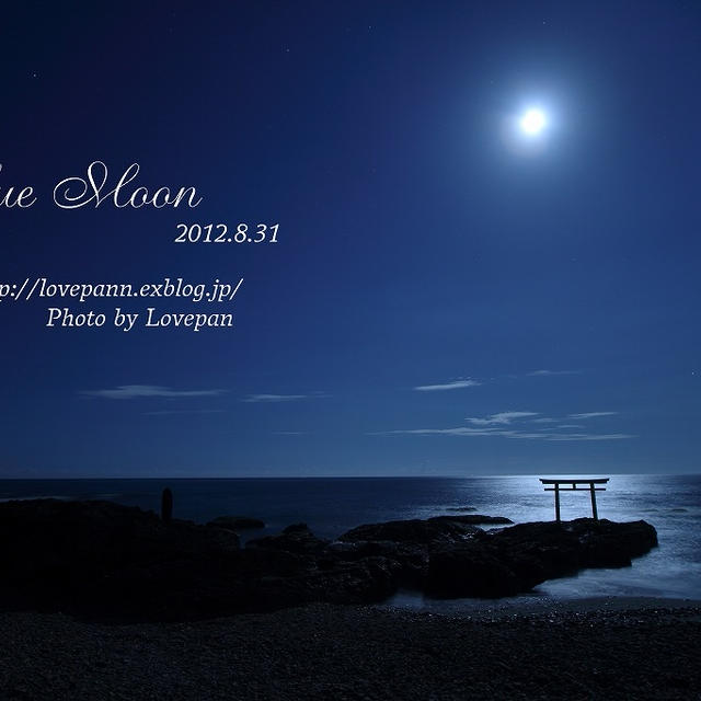 神秘的な夜　Blue Moon