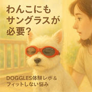 🕶 犬の目にも優しいサングラスを探して