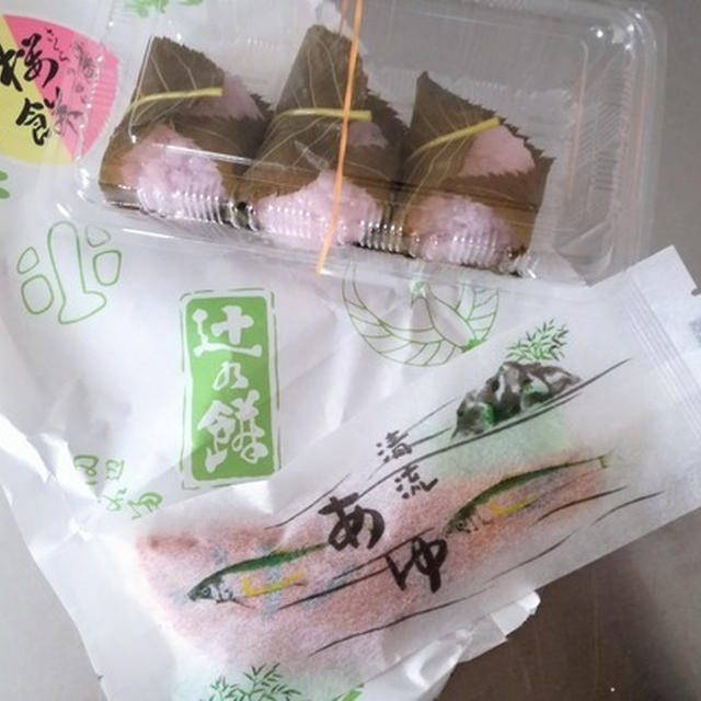 今日のあんこ#137 「辻の餅本舗」の鮎焼き美味しい♥【和歌山県田辺市】
