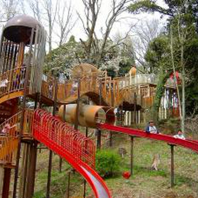 千葉市：昭和の森公園
