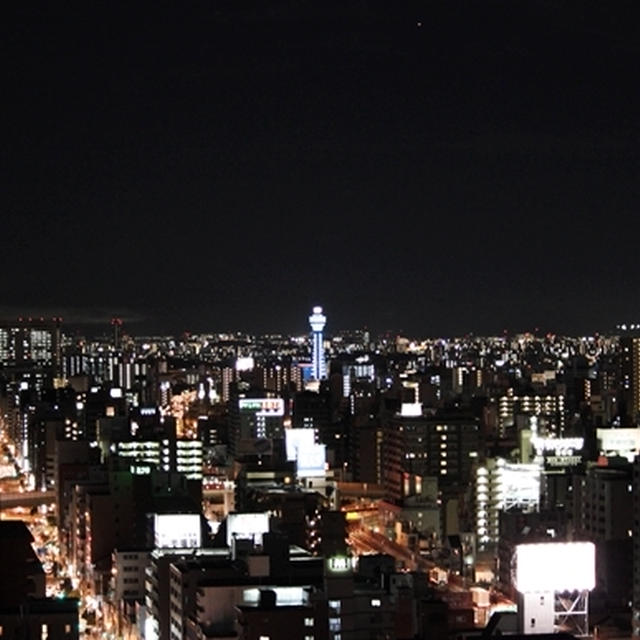 とろろのお鍋と、8月1日の大阪の夜と言えば…白いモヤモヤなんです。