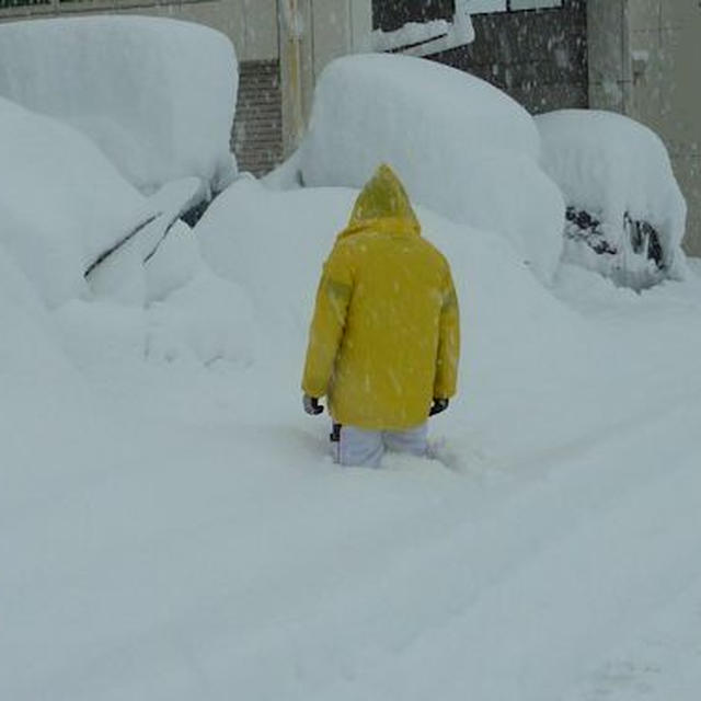 山梨は陸の孤島　大雪　どうしたらよいか解らず茫然　笑うしかない　涙　2014.2.16