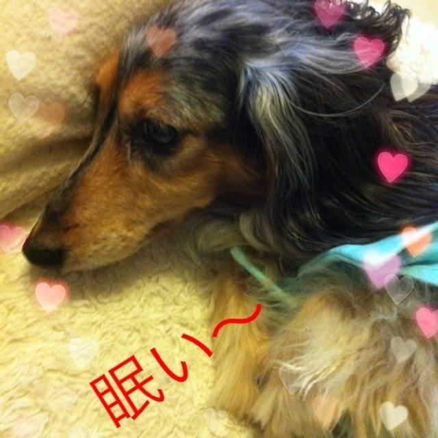 今日の1枚☆