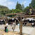 大神神社へ