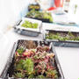 10月のコラボレッスン（多肉植物の寄せ植え）。。。