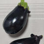 初挑戦の野菜の収穫