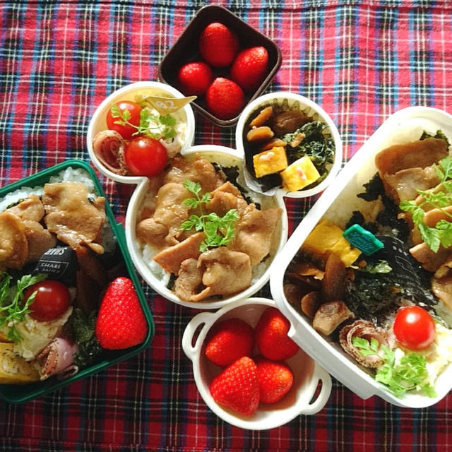 生姜焼き丼のお弁当とコハルの週末～6月4日