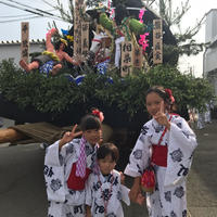 曳山祭り本番！