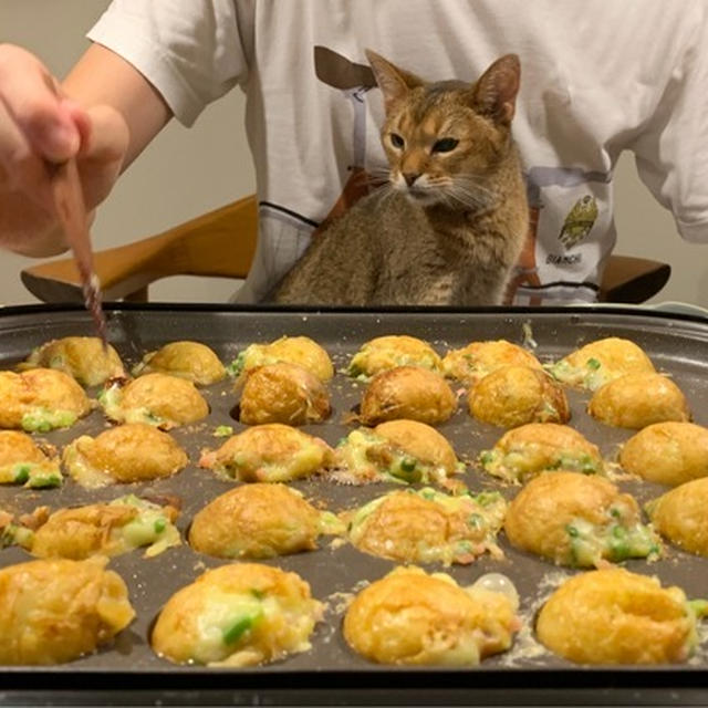 ねこ書斎の壁塗り終了&たこパー