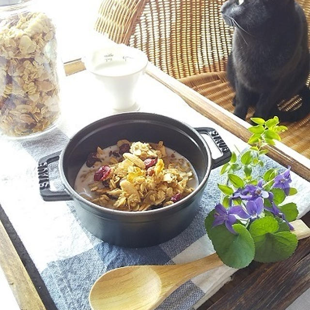 ハマり中の自家製フルーツグラノーラ