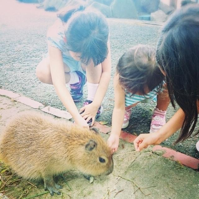 姫路セントラルパークへ ♡