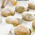 Matcha Madeleines