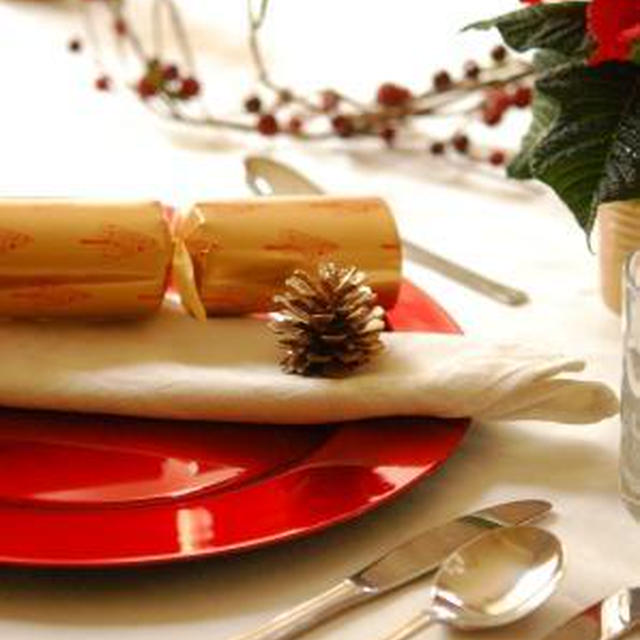 ２０１０年クリスマス＆１６レシピ掲載のお知らせ～☆