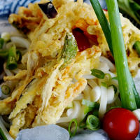 【季節のお野菜で　ぶっかけ冷やし掻き揚げうどん】亀城庵さんのモニター料理です♪
