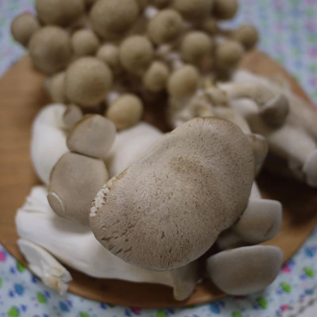 きのこの塩麹和え。