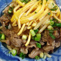牛肉ともやしの丼
