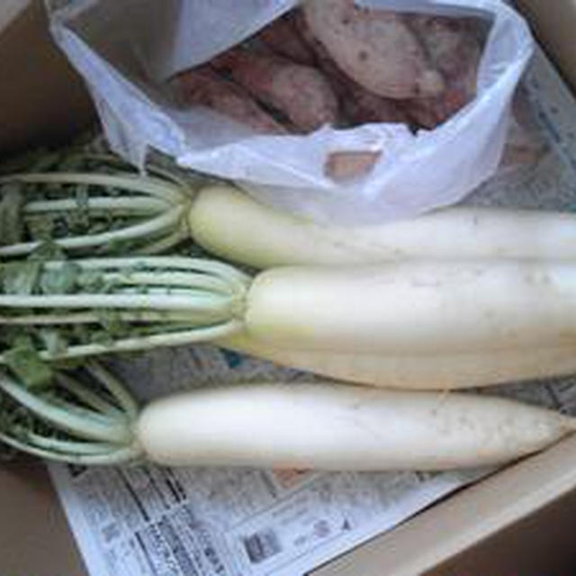 旬の野菜♪