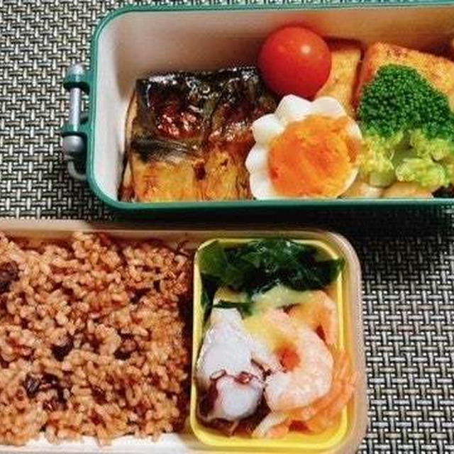 サバみりん焼き弁当・最近気になるニュース