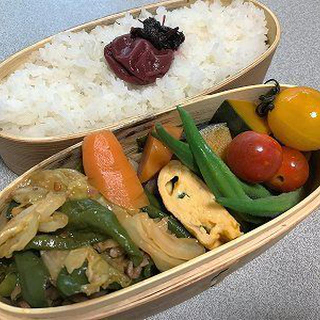 ピーマンたっぷり回鍋肉弁当。お腹べったりきなこ