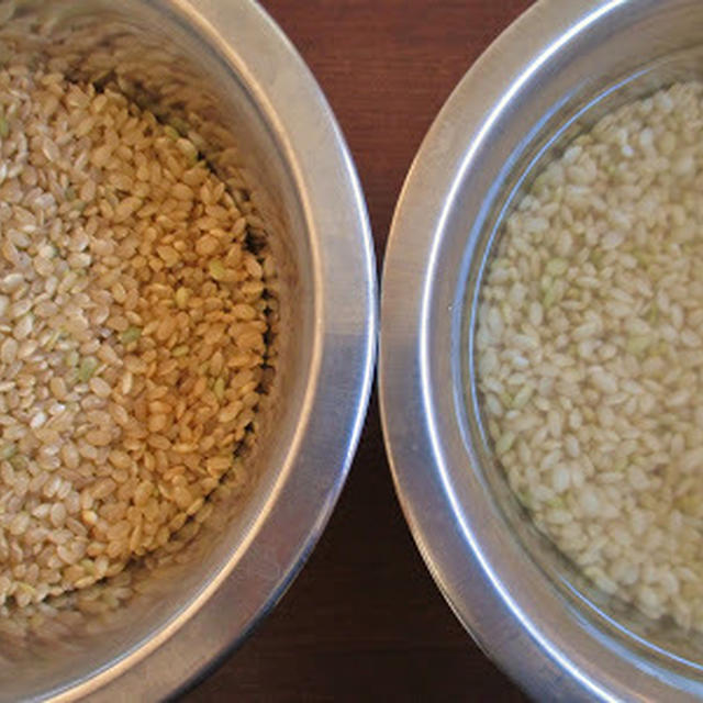 Germinated(Sprouted) brown rice 発芽玄米を食す