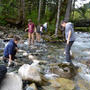 山でのアウトドアな週末　その２　Weekend in Mount Baker-Snoqualmie National Forest