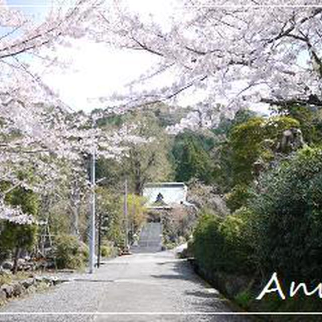 ☆伊豆の桜＆反射炉ビール☆