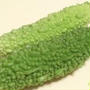 ☆ゴーヤと茄子の夏野菜キーマカレー☆