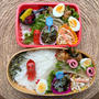 どうしようもなく作った肉巻き弁当