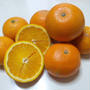 84:フレッシュオレンジジュース＆ゼリー