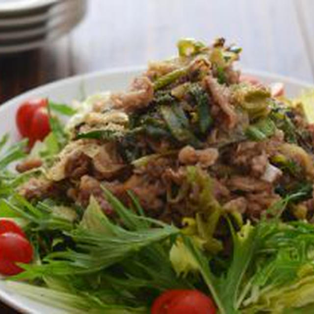 牛ねぎ炒めのっけサラダ。（葉物のっけ）の炒メインの晩ごはん。