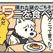 【初体験】ワニ肉ハンバーグ！　犬のリアクションは？