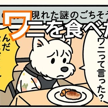 【初体験】ワニ肉ハンバーグ！　犬のリアクションは？